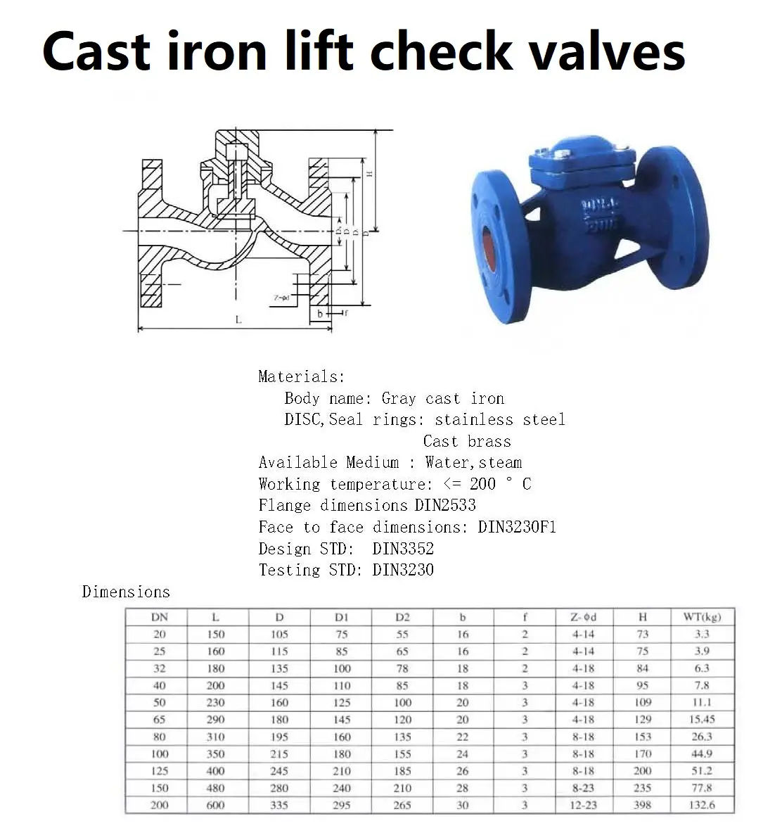 Cast iron lift check valves438426.webp Cast iron lift check valves.webp
